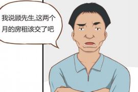 白塔要账公司更多成功案例详情